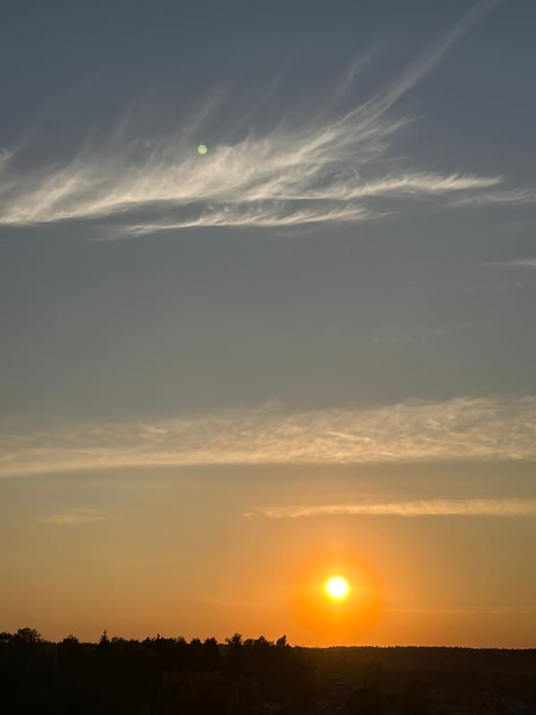 Urban sunset observed through treeline over 26-minute period