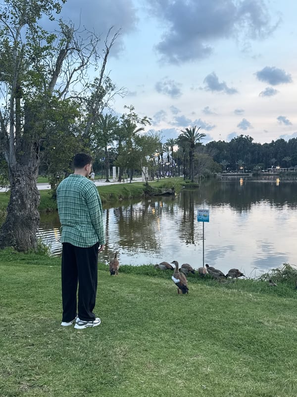 Person feeds waterfowl at Ramat Gan park lake