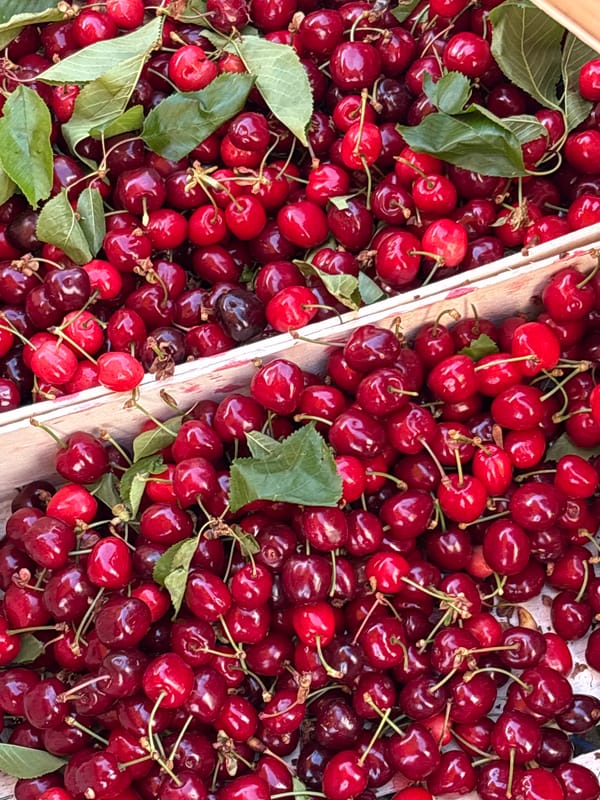 Fresh cherries and strawberries displayed in Kragujevac market