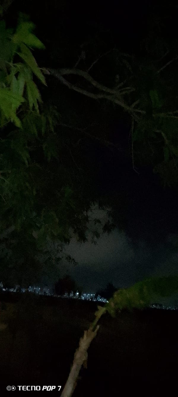 Nighttime dog watching documented in Altagracia Venezuela yard