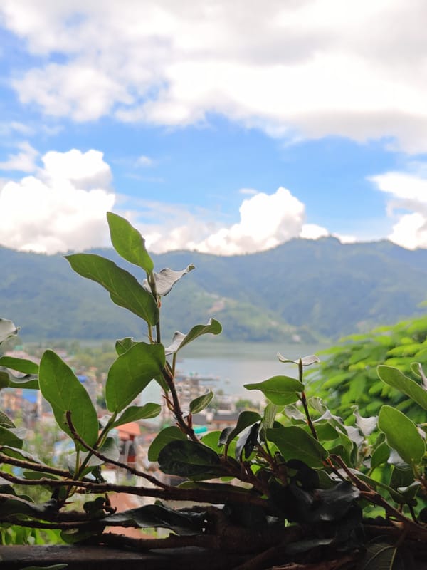 Phewa Lake views and street-level details, Pokhara