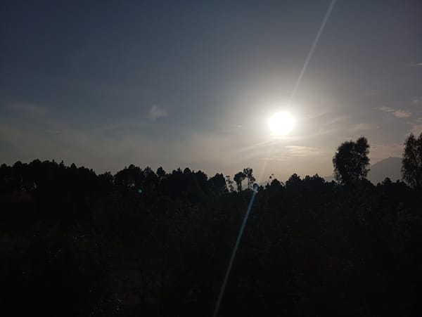 Sunlight filters through treeline in Lassan, Pakistan