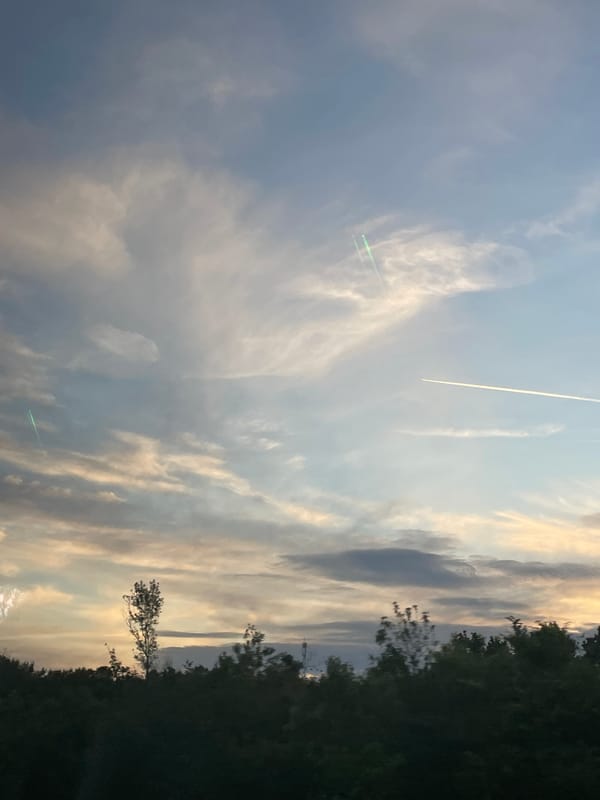 Early morning scenes captured in Serbian countryside