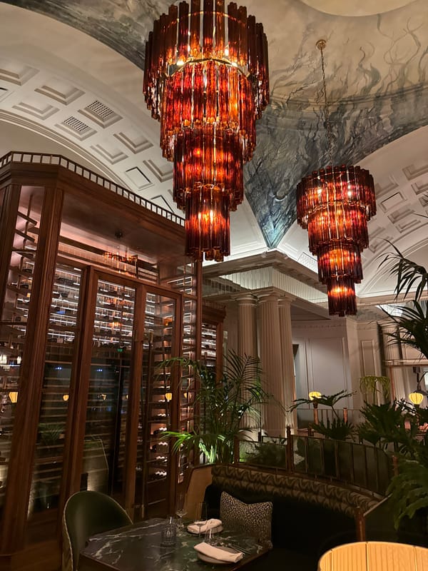 Luxury Cape Town establishment documented during afternoon social activities