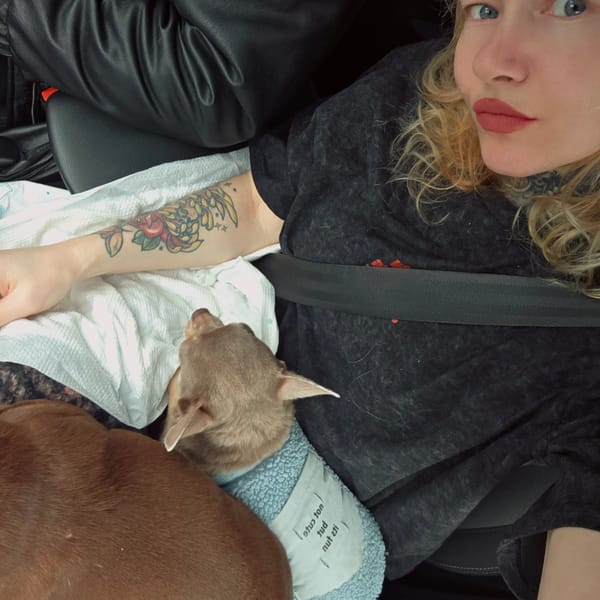 Woman with dogs spotted in car in Volgovo, Russia