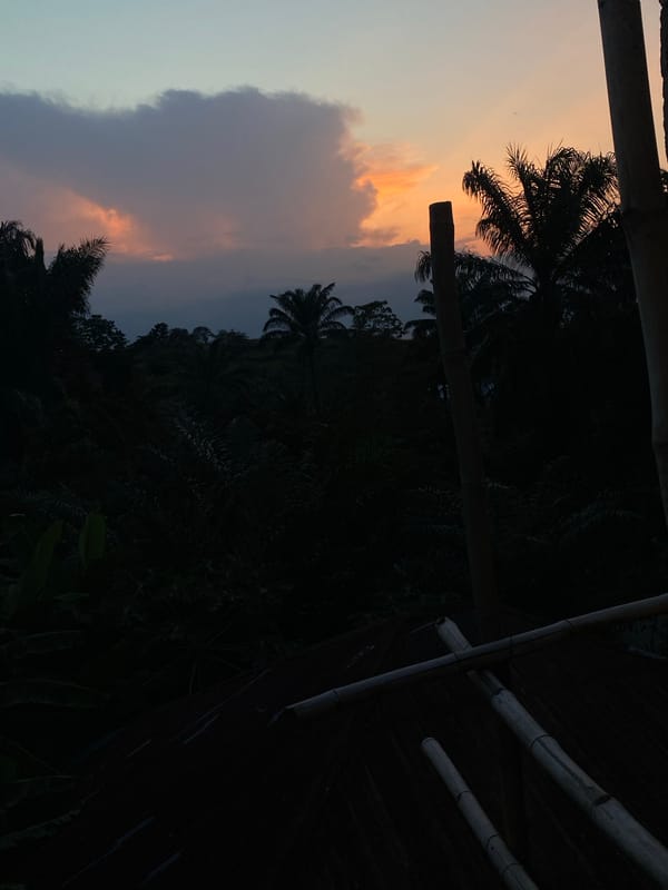 Sunset observed through bamboo structure in Achara, Nigeria