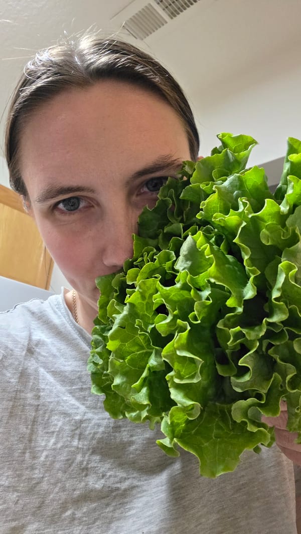 Cats, lettuce, and low-key home life in Portland