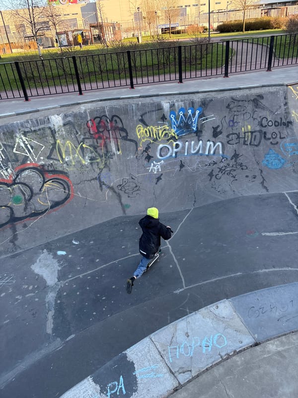 Concrete skatepark bowl documented in Kudrovo, Russia