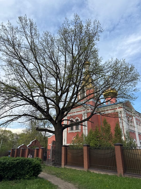 Spring tree photographed near Orthodox church in Moscow