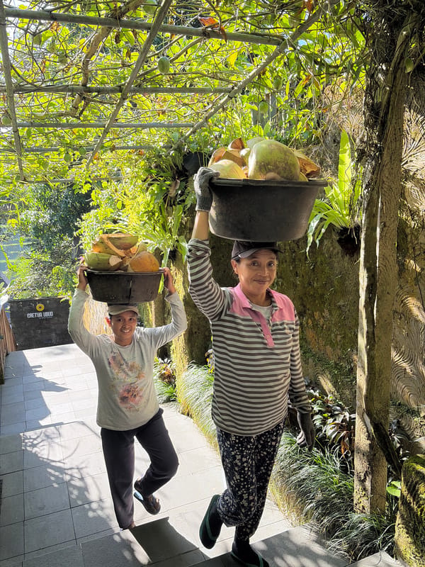 Coconut carriers and ceremonial fruit offerings in Tegallalang