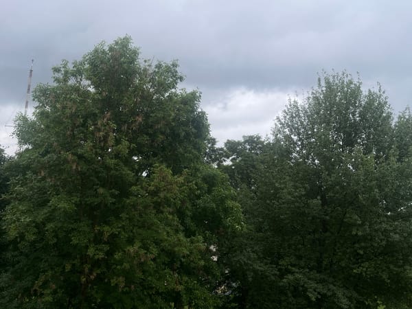 Church dome and radio tower rise above a leafy urban park