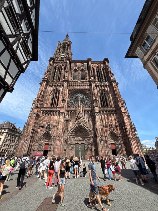 Tourist documents Strasbourg cathedral, historic quarter, and Palestinian demonstration