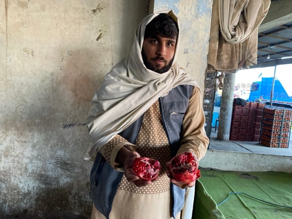 Fruit workers pack produce at Kandahar markets