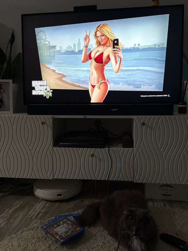 Evening gaming session with cat and selfies in Russian home