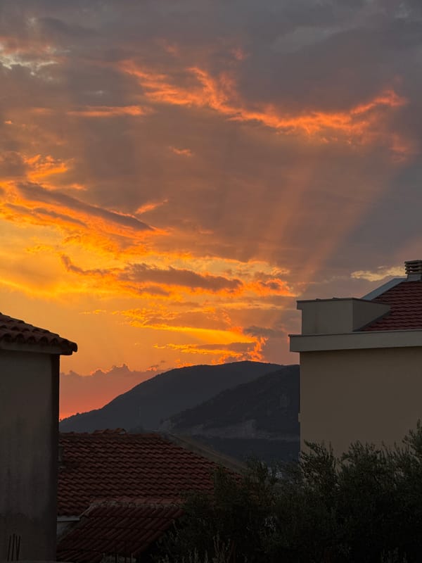 Fiery sunset over Trap, Montenegro — plus a calico cat