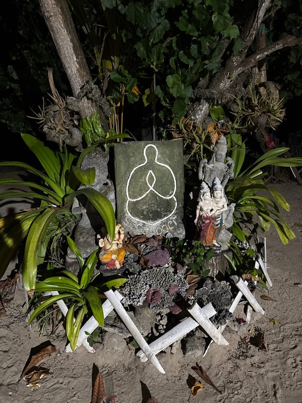 Nighttime garden scene documented in Denpasar, Indonesia