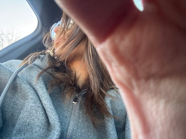 Disorienting upside-down photo captured in Antarut, Armenia