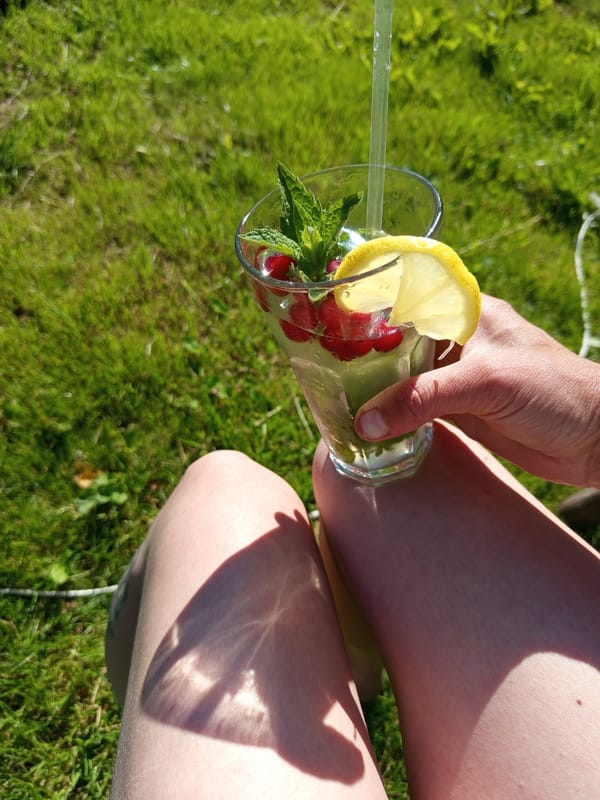 Lazy summer afternoon in a Russian garden, drinks and all