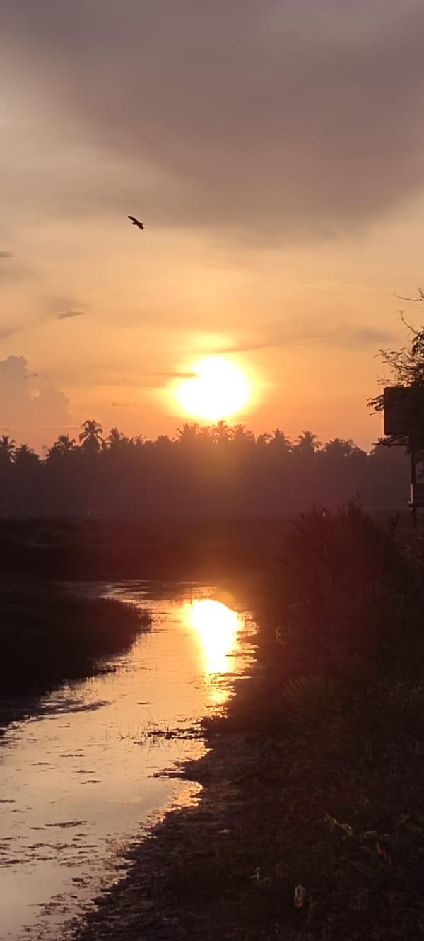 Sunset over rural Lhokseumawe — fields, water, and wildlife at dusk