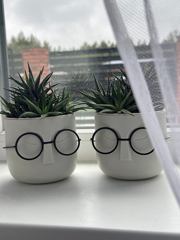 Quirky face planters with succulents spotted on Russian windowsill