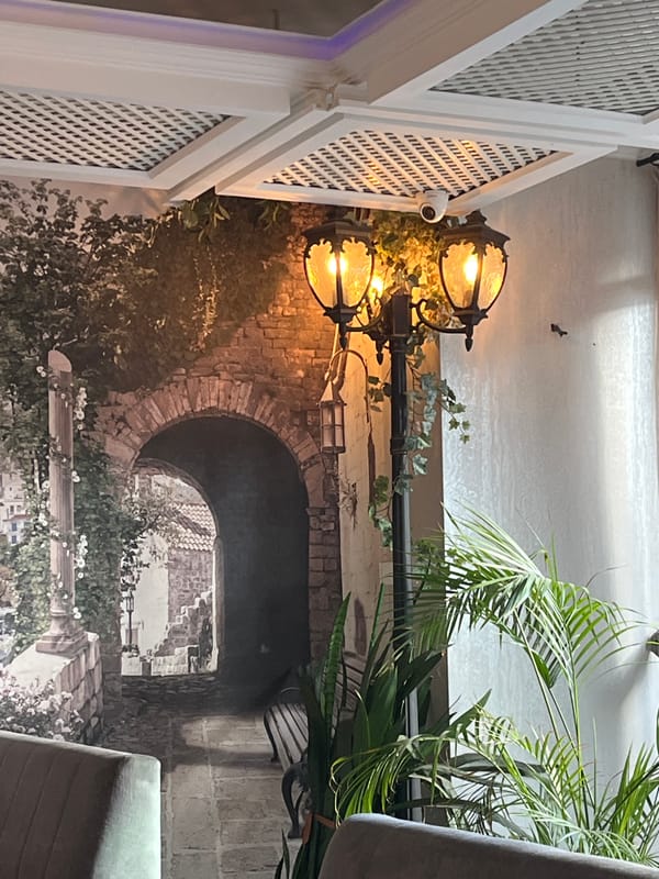 Dog walker unleashes Yorkshire Terriers in Burgas park