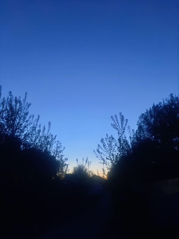 Day-to-night scenes documented across Barnaul, Russia