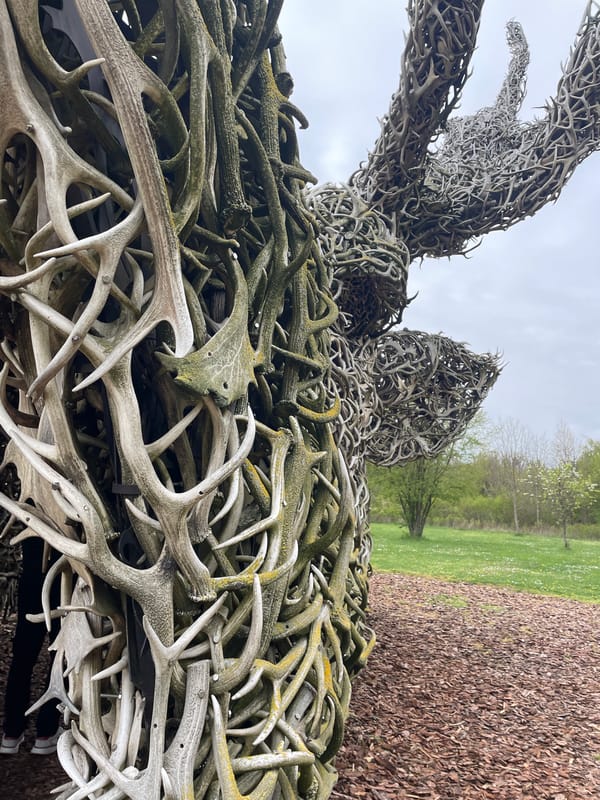 Deer antler sculpture documented in Keszthely park near palace