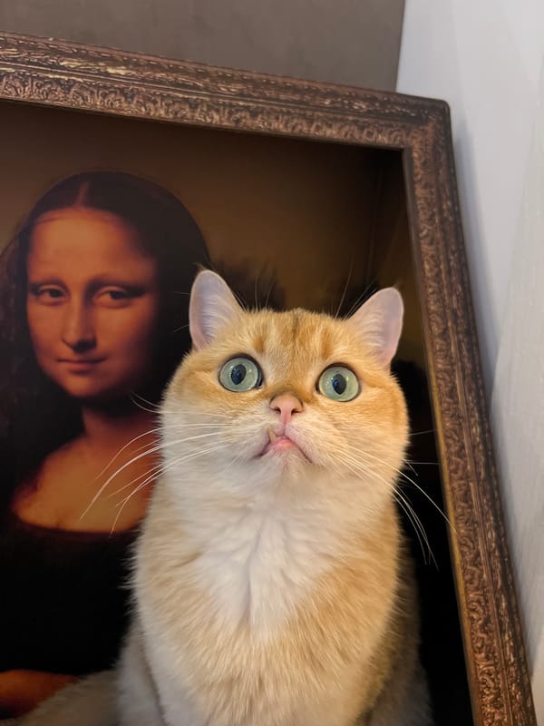 Cat-Mona Lisa mashup artwork spotted at Montenegro bar
