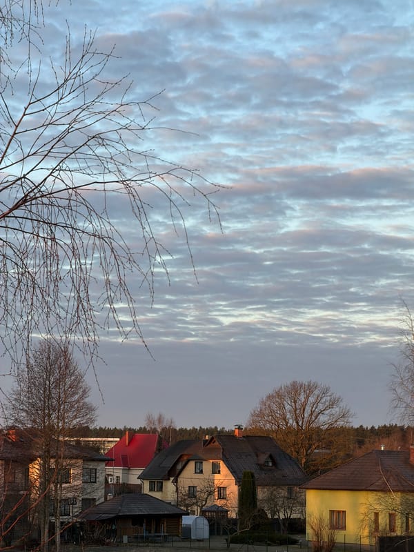 Dawn sky with pink-gray clouds observed in Dreiliņi, Latvia