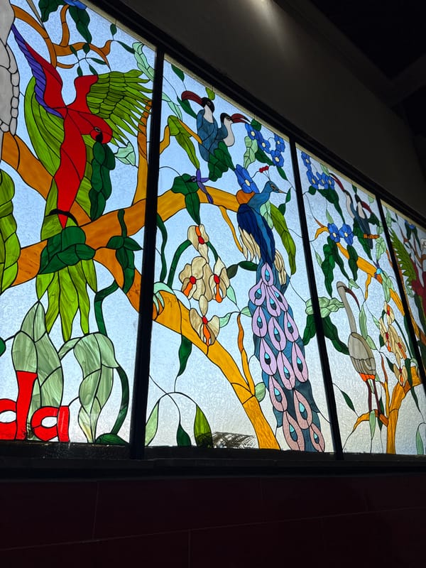 Stained-glass window with birds captured in Mexican building