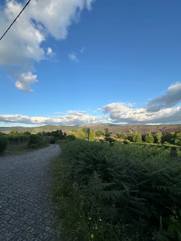Rural stone road documented in Celorico de Basto countryside