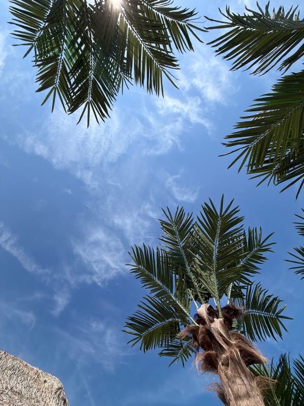 Beach day documented by witnesses under clear skies
