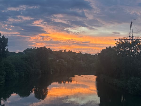 Evening walk through riverside parkland in Ludwigsburg