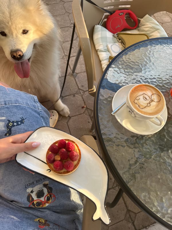 Cappuccino and a Samoyed at a Šušanj café