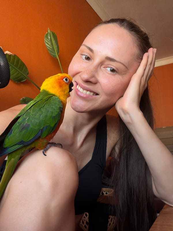 Person poses with colorful sun conure parrot in Khimki