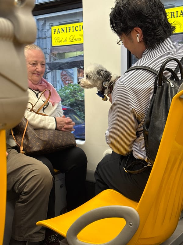 Woman holds small dog on Milan public transport
