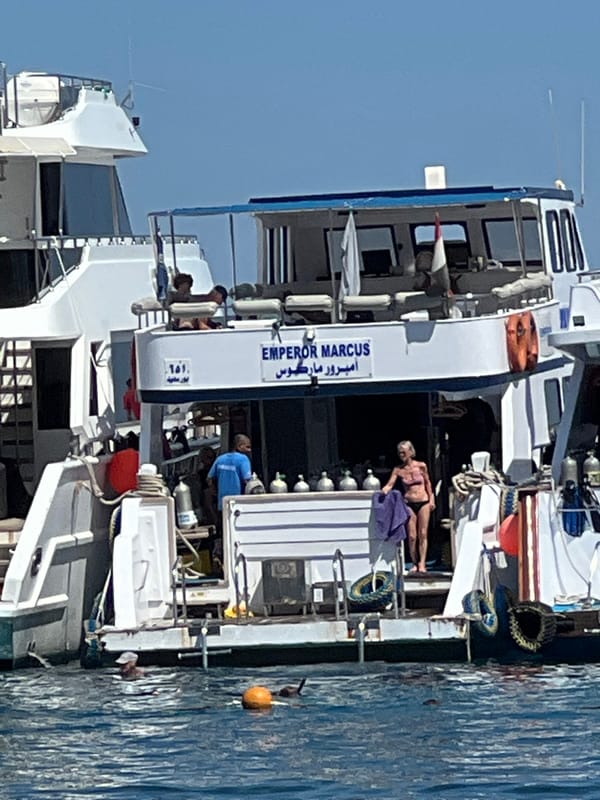 Sun, sand, and the Red Sea at Sharm El Sheikh