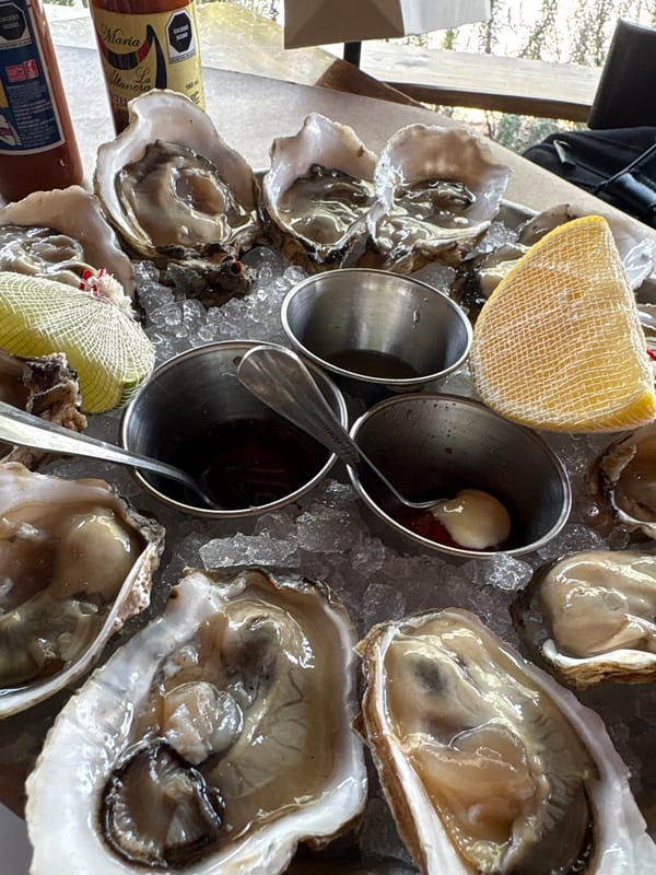 Fresh oysters served on ice photographed in Zapopan