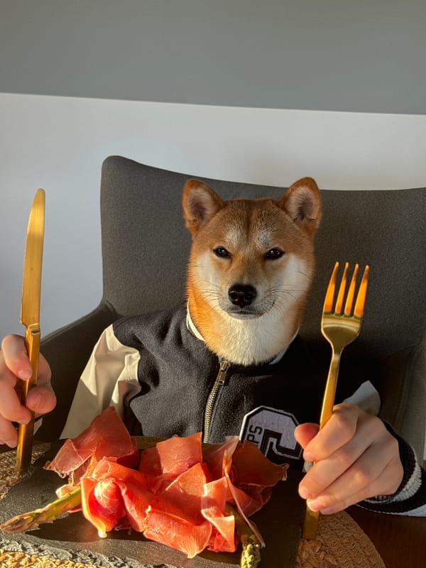 Digital Shiba Inu dining content captured in Carnikava, Latvia