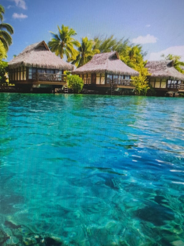 Tropical resort, mountain lake, and a corrugated ceiling