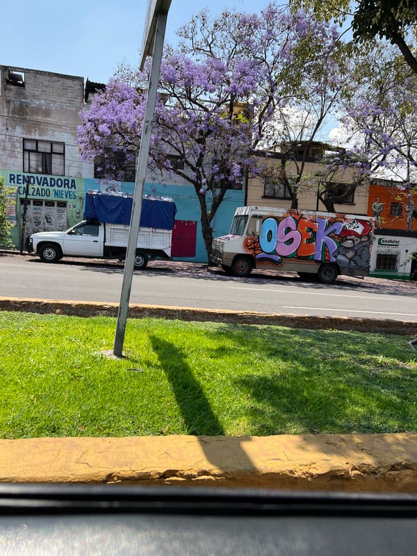 Street scene documented in Querétaro, Mexico