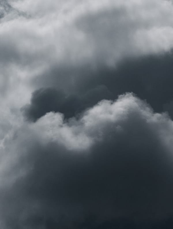 Dark storm clouds building over a silhouetted treeline