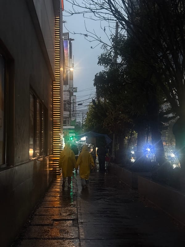 Two people in yellow raincoats walk wet Mexico City streets