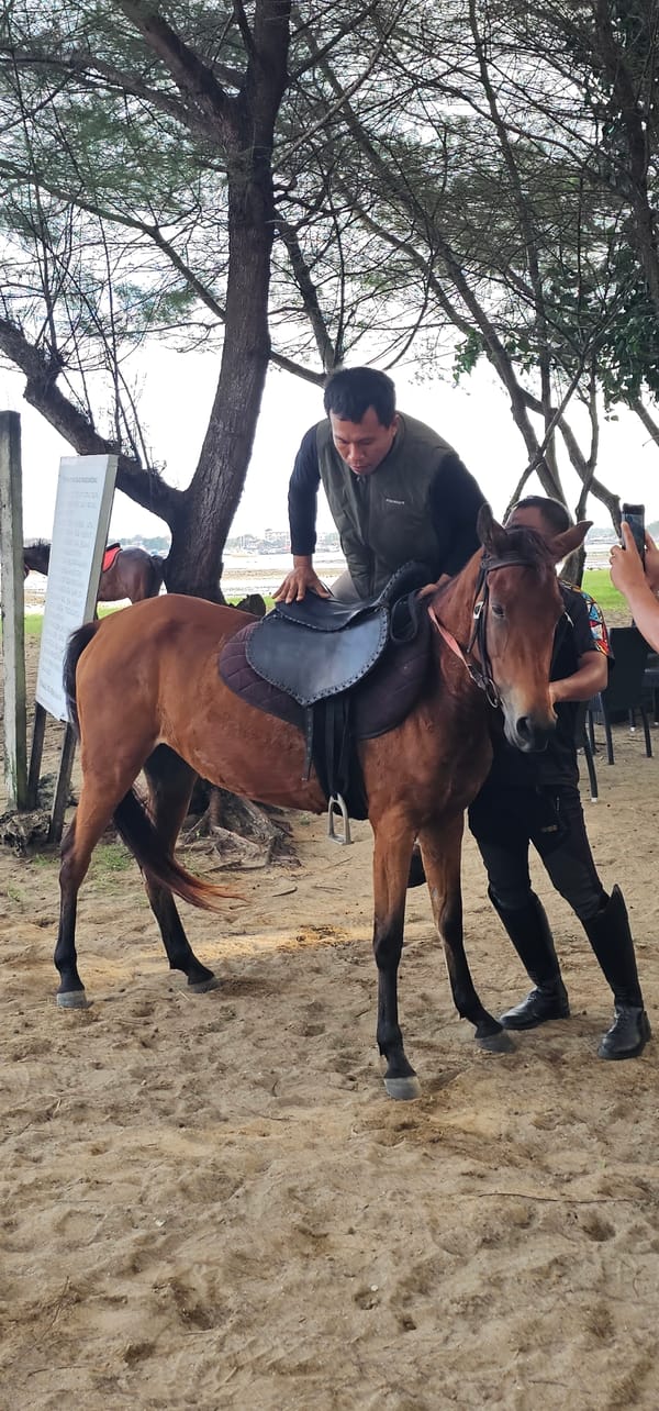 Beach horseback riding documented near Denpasar, Indonesia