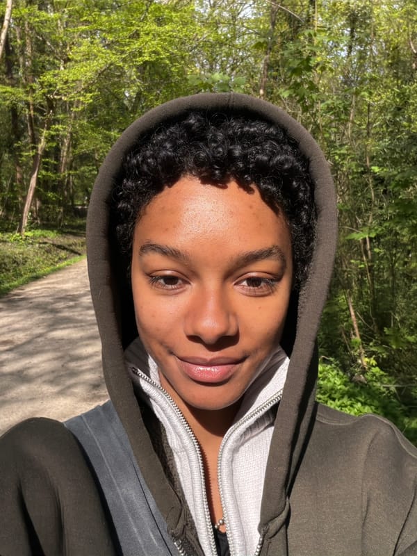 Mixed visual captures in Noisiel include portrait and emoji display