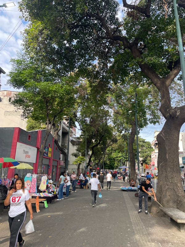Busy tree-lined marketplace scene observed in Caracas