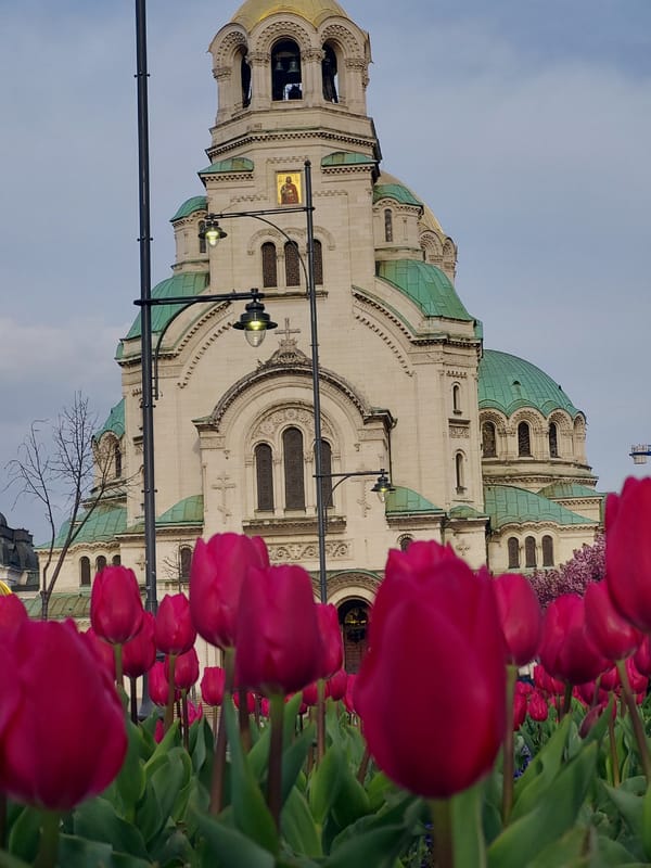 Spring tulips bloom around Alexander Nevsky Cathedral in Sofia