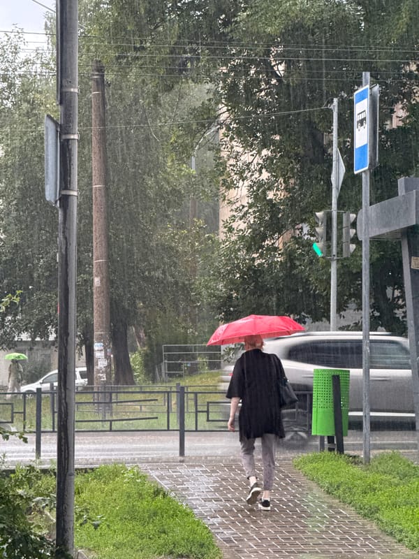 Rainy afternoon on the streets of Izhevsk