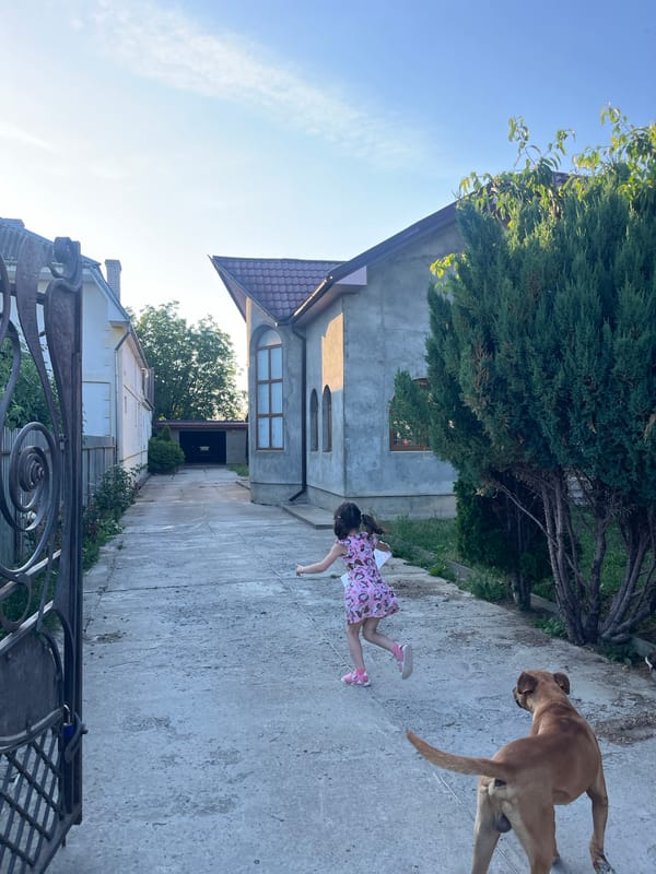 Child plays in Ukrainian neighborhood amid everyday domestic scenes
