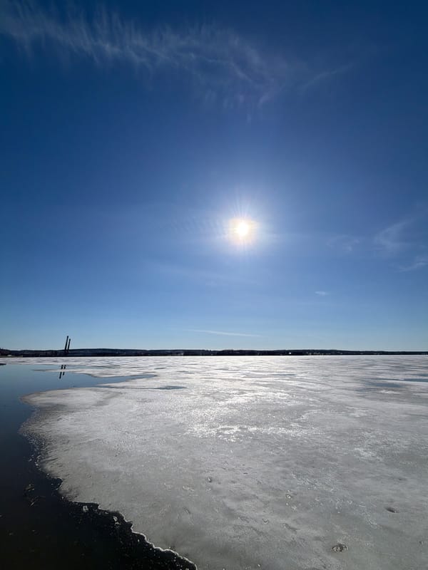 Spring day documented along Votkinsk waterfront with cleaning, recreation